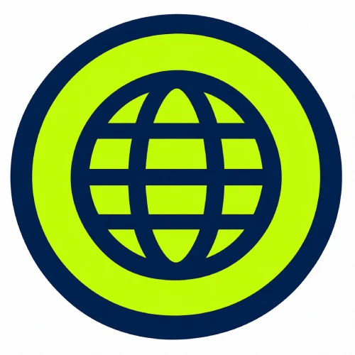 Web Application Security Assessment